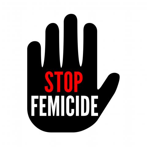 Femicide cijfers in Vlaanderen: bijzonder hoog | Ludwig Vandenhove